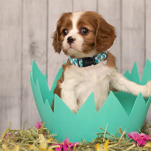 ARING PET Easter Dog Collar-Cute Green Easter Eggs Dog Collar, Adjustable Carrot&Rabbit Pet Collars Puppy Collar Gifts with Quick Release Buckle for Girl&Boy Dogs - color: Easter rabbit, size: X-Small