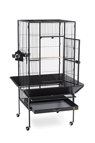 Prevue Pet Products Park Plaza Bird Cage with Perches - L, Black Hammertone | Large Steel Cage with Rolling Stand and Perches, Ideal for Cockatiels and Medium Birds - color: Black Hammertone