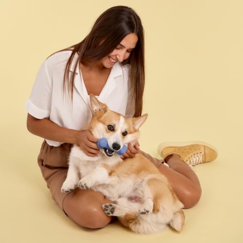 Playology Dual Layer Bone Dog Chew Toy - Medium, Blueberry Scent | Rubber Construction, All Natural Scent, Heavy Duty Design - size: Medium, style: Blueberry