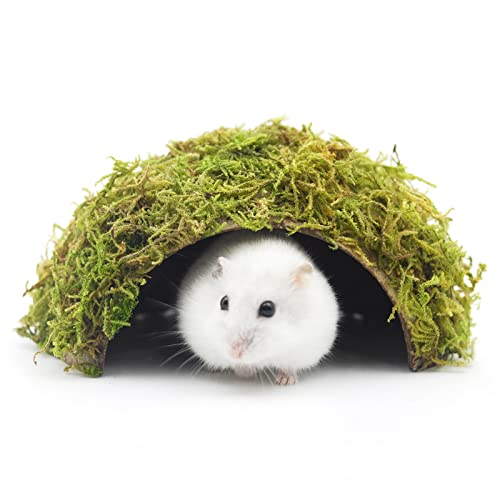 Hamster Hideaway/Hideout,Mossy Cave Hide,Hamster House/Hides,Hamster Cage Accessories for Gguinea Pig/Hedgehogs/Gliders/Rats/Mice and Other Small Animals (Small) - size: Cave, Small