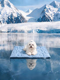 Huafly Dog Cooling Mat,Dual-Sided Cooling Mat for Dogs–Cooling Fabric for Summer,Velvet for All Seasons–Portable for Crate,Car Seat,Sofa&Floor,Machine Washable,Keeps Cats,Dogs&Puppies Cool,Cloud Blue - size: S：18" x 24" x 0.8"Th