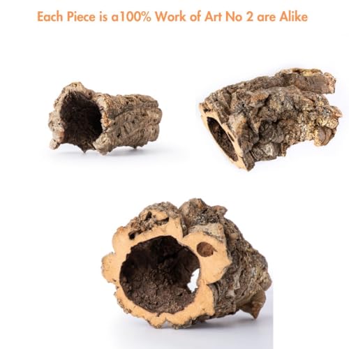 Galápagos (05505) Natural Cork Bark for Reptiles – Ideal for Bearded Dragons, Snakes, and Geckos – Climbing Accessory for Terrariums, Turtle Tanks, and Bird Cages, Tube 7” – 9”, Natural