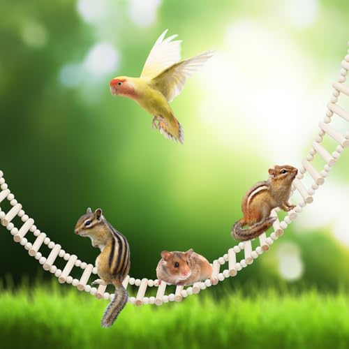 Rat Ladder Bridge Toy, Rat Climbing Toys, Natural Wooden Hamster Ladder Bridge Toy, Cage Accessories for Bird Parrot Cockatiel Sugar Gliders - 54 Steps - 74.6 x 3.14 Inch - size: 54 Steps - 74 × 3 Inch