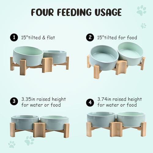 SPUNKYJUNKY 15° Slanted Ceramic Dog and Cat Bowl with Wooden Stand, Tilted Bulldog Food and Water Bowl No Slip Non-Spill for Cats Medium Dogs Big Face Pets 13.5 OZ (1.7 Cups, Morandi Green × 2) - color: Morandi Green, size: 1.7 CUPS × 2