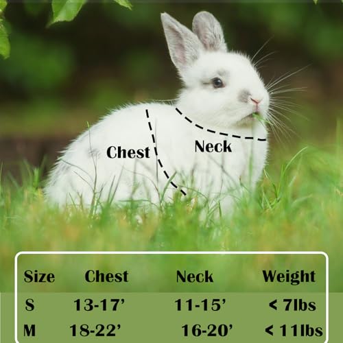 Rabbit Harness and Leash Set Escape Proof, Adjustable Soft Padded Vest, Breathable Mesh Bunny Harness with Reflective Strap, Safe for Small Animals(Blue,M) - color: Blue, size: M