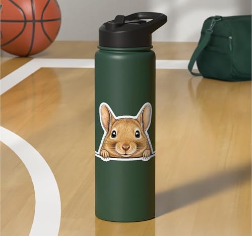 Peeking Degu Stainless Steel Insulated Water Bottle - color: Dark Green
