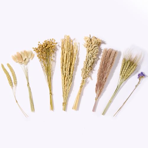 BUCATSTATE Natural Hamster Bedding Flowers & Herbs & Sprays | For Cage Habitat Decor - Treat Cereal Grain for Dwarf Syrian Gerbils, Mice, Rat, Forage, Enrichment (54PCS) - size: 54PCS