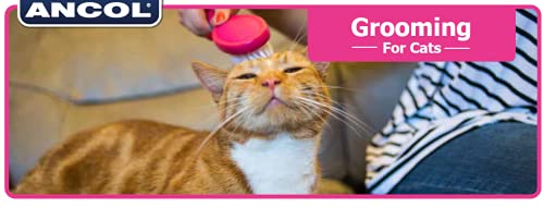 Ancol Ergo Cat Slicker Brush - Pink Grooming Tool for Removing Loose Fur and Detangling - Soft Bendy Pins for Glossy Coat Care - Ideal for Long Haired Cats - color: Pink