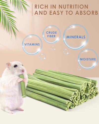 Bissap 35PCS Rabbit Chew Sticks, Natural Papaya Stems Bunny Chews Treats for Rabbit Hamster Chinchilla Guinea Pig Small Animals Organic Molar Chewing Snack - size: 35 PCS
