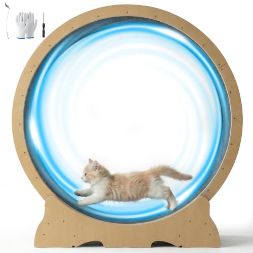 Cat Wheel for Indoor Cats, 48 Inch Diameter Exercise Running Wheel | Enhanced Base, Safety Lock, Quiet, For Cat's Longer Life Fitness, Wide Surface, Low-Entry Design, Easy Assembly, Natural Wood - color: Natural