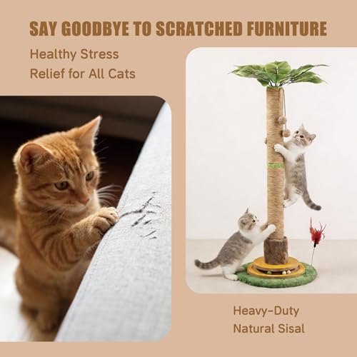 44" Tall Palm Tree Cat Scratching Post with Sisal Rope,Dangling Balls,Natural Healthy Catnip Balls,Cat Toy Mouse Hole,Interactive Wooden Ball & Cats Wand for Indoor Cats Adults and Kitten