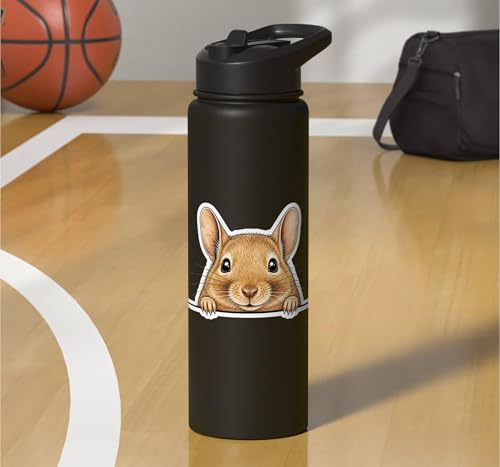 Peeking Degu Stainless Steel Insulated Water Bottle - color: Black