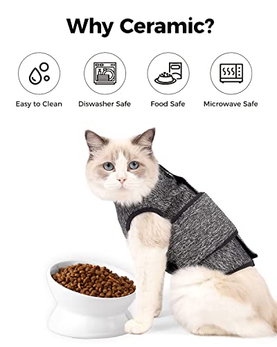 LoeJan Elevated Cat Food Bowl, 5 Oz Ceramic Raised and Tilted Water Bowl, Anti Vomiting and Protect Pets' Spines Dishes for Small Dog, Fat Faced Cat, Kitten (White, 1 Pack) - color: White
