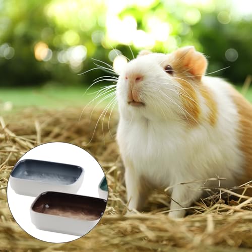 3 Pack Hamster Ceramic Bowl Small Animals Anti-Turning Food Water Bowl for Rabbit Sugar Glider Hamster Guinea Pig Hedgehog Squirrel ((Blue, Green and Brown)