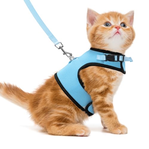 PUPTECK Soft Mesh Cat Vest Harness and Leash Set Puppy Padded Pet Harnesses Escape Proof for Cats Small Dogs, Blue Medium - color: Blue, size: M(NECK 7", CHEST 10.5", 4-6 lbs)