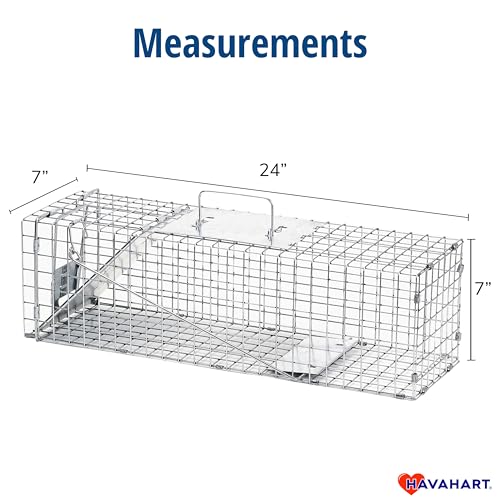 Havahart Medium 1-Door Live Animal Trap, Galvanized Steel Cage | Humane Catch and Release for Rabbit, Skunk, Mink, and Squirrel, Spring-Loaded Door, 1078SR