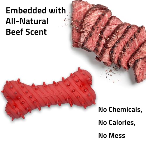 Playology Puppy Teething Bone Dog Chew Toy - Jumbo, Beef Scent | Great For Puppies and Young Dogs, Teeting Nubs Soothe Gums, Durable Rubber, Large Breed - size: Jumbo, style: Beef