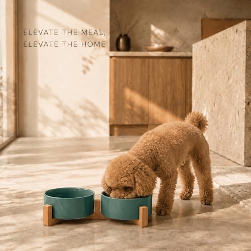 SPUNKYJUNKY Ceramic Dog and Cat Bowl Set with Wooden Stand, Modern Cute Weighted Food Water Set for Small Size Dogs (13.5OZ) & Medium Sized Dogs (28.7OZ) & Cats (1.7 Cups, 2 × Light Green) - color: Light Green × 2, size: 1.7 cups