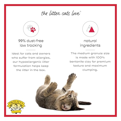 Dr. Elsey's Cat Attract Clumping Clay Cat Litter 40 lb. Bag - size: 40 lb