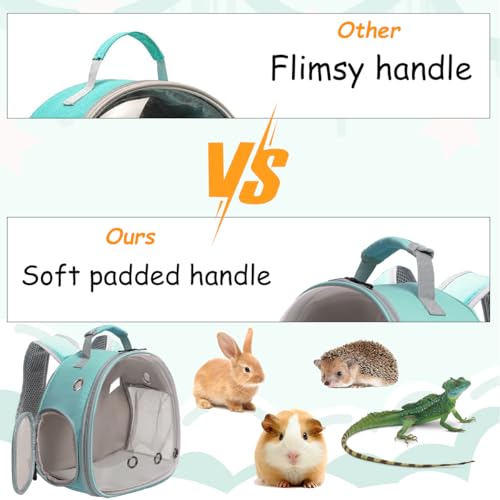 Portable Travel Backpack Habitat for Small Animal, Space Capsule Bubble Window Guinea Pig Bird Bearded Dragon Turtle Carrier Rabbit Squirrel Hamster Cage Breathable Handbag - color: Green