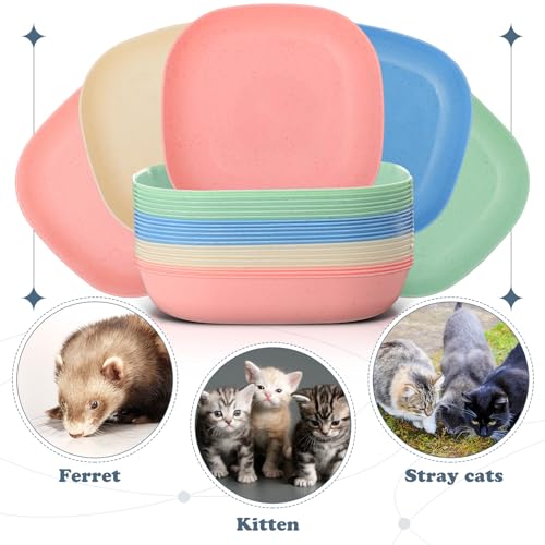 Tioncy 24 Pcs Fatigue Relief Cat Bowl 5.7 Inch Shallow Cat Food Dish Wide and Small Pet Wet Feeding Bowl for Kitten Short Legged Kitten Ferrets Feral Small Animals(Blue, Green, Pink, Beige,Classic) - color: Blue, Green, Pink, Beige, style: Classic