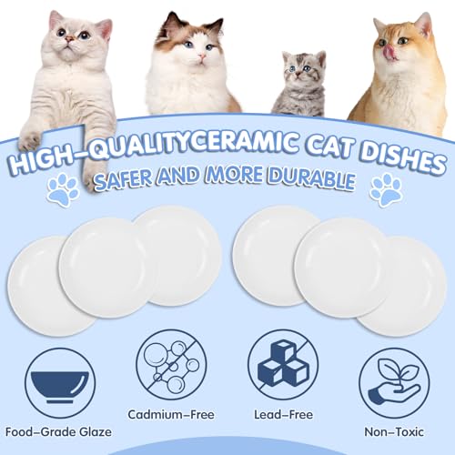 6 Pack Cat Food Bowl, Ceramic Cat Bowls, Anti Whisker Fatigue Cats Bowl Set | 5.5 Inches Shallow Wide Kitten Plates for Food and Water (White-C) - color: White