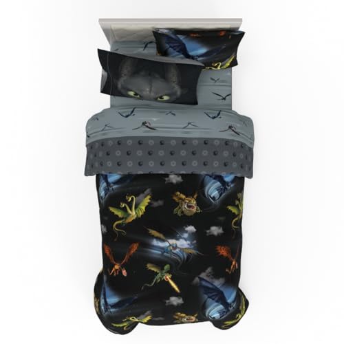 How to Train Your Dragon Kids Bedding Super Soft & Cozy Reversible Microfiber Comforter and Sheet Set with Sham, 5 Piece Twin Size, (Officially Licensed Product) By Franco - color: How to Train Your Dragon, size: 5 Piece Twin Size