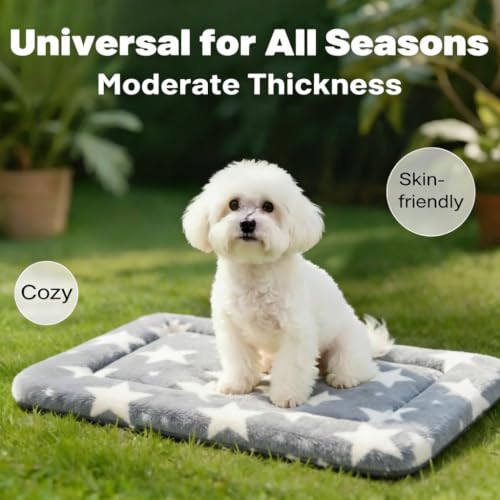 Dog Bed Mat, Reversible Crate Pad & Cute Dog Bed - Machine Washable Kennel Mat with Ultra Soft (Big&Small Stars Gray, 24" L*18" W*1.5" Th) - color: Big&Small Stars Gray, size: 24"L*18"W*1.5"Th