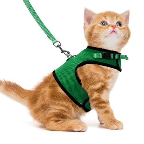 PUPTECK Soft Mesh Cat Vest Harness and Leash Set Puppy Padded Pet Harnesses Escape Proof for Cats Small Dogs Rabbits Bunny - color: Deep Green, size: S(NECK 6", CHEST 8.5", 2-4 lbs)