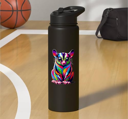 Colorful Pop Art Sugar Glider Sugar Gliders Stainless Steel Insulated Water Bottle - color: Black