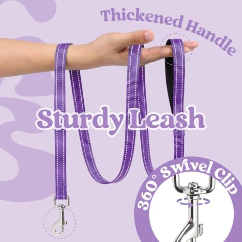 rabbitgoo Dog Harness Small Sized and Leash Set, Step in Soft Vest | Breathable Mesh, Easy Wear with Hook & Loop, Light and Reflective for Walking, Multi-colored, Light Purple & Purple, XXS - color: Light Purple & Purple, size: XXS (Chest: 12.4"-14.2")