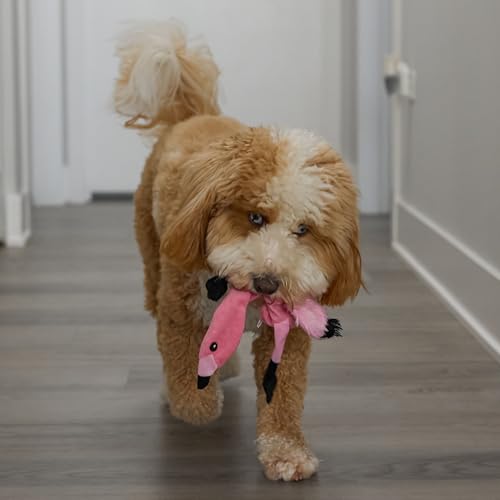 SPOT Skinneeez Flamingo 13 Inch Stuffing-Free Plush Squeaky Dog Toy – Soft Interactive Chew Toy for Small and Medium Dogs – Mess-Free Play for Light & Moderate Chewers - style: Mini Flamingo