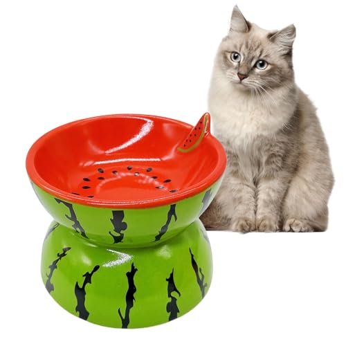 Hamiledyi Ceramic Raised Cat Bowl 5In Elevated Wide Cat Bowl for Food and Water Anti Vomiting Tilted Pet Feeder Dish for Indoor Cats and Small Dogs(Watermelon)
