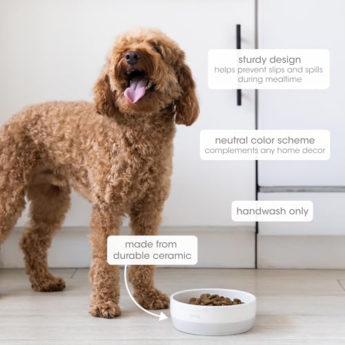 Pearhead Ceramic Bone Appétit Dog Bowl, Small/Medium 2.25 Cups/ 18 oz, Gray - color: Gray Bone Appetit Bowl, size: Small