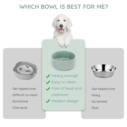 SPUNKYJUNKY 13.5OZ Ceramic Dog and Cat Bowl, Modern Cute Weighted Food Water Bowl for Replacement Morandi Green (2 Pack) - color: Morandi Green, size: 1.7 CUPS × 2