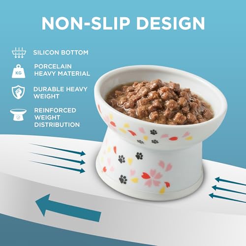 Necoichi Ceramic Elevated Cat Food Bowl (Sakura, Regular Flat) - color: Sakura, size: Regular
