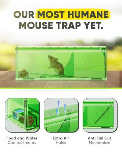 Motel Mouse Humane No Kill Mouse Traps Live Catch & Release - 4 Pack | Water & Food Compartment • Additional Air Holes • Tail Protection • Motel Mouse's Most Humane Solution • Reusable - color: Regular Green