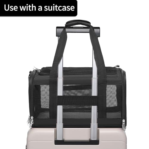 Airline Approved Pet Carrier for Cats and Small Dogs up to 15 lbs, Breathable Mesh and Collapsible Design, Portable Travel Bag for Bearded Dragon, Puppies Animal Hangbag, Rabbit Cage (Black, Small) - color: black