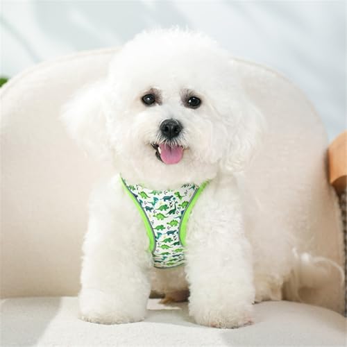 Step in Dog Harness No Pull Dinosaur Adjustable Soft Mesh Harness | Reflective Pet Vest Harness and Leash Set for Small Medium Dogs - color: Green, size: S(neck:10.5"-12",chest:13.5"-16")