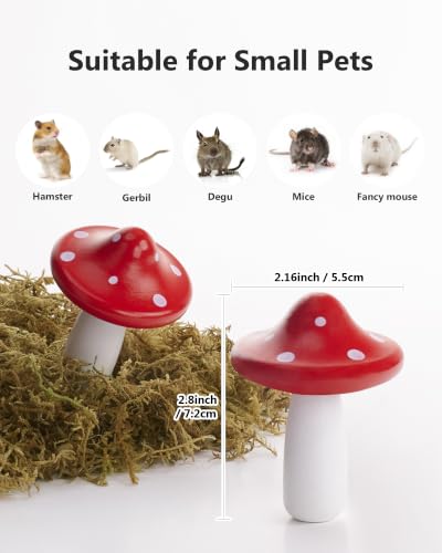 Niteangel Hamster Chew & Decor Toys: Pack of 2 Mushroom-Shape & Beech Wood | Chew-Friendly Design to Control Tooth Overgrowth for Syrian Dwarf Hamster Gerbils Mice Lemming Degu or Other Small-Sized Pets - size: Mushroom-Shape