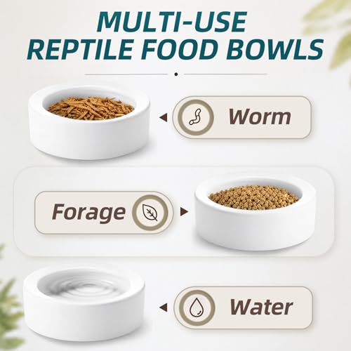 4 Pcs Reptile Bowl Food Dish Reptile Water Food Feeding Dish Ceramic Worm Pet Bowl Anti Escape Feeder for Lizard Anoles Chameleon Bearded Dragon Hermit Crab (4.92 Inch) - size: 4.92 Inch