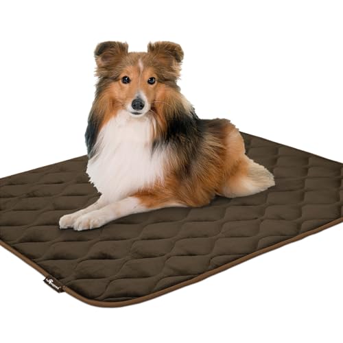 Paw Inspired Washable Padded Crate Mats for Dogs | 41” x 28” Pad, Fits 42-inch Kennels | Leakproof, Waterproof Bottom, Plush Pet Beds (Dark Brown) - color: Dark Brown, size: 42 Inch