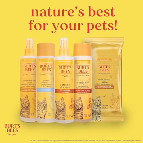 Burts Bees for Pets Waterless Cat Shampoo Spray, 10 Fl Oz | No-rinse formula with shea butter and honey gently cleans between baths, pH-balanced, no harsh detergents