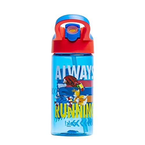Zak Designs Sonic the Hedgehog Kids Water Bottle with Spout Cover and Built-in Carrying Loop, Made of Durable Plastic, Leak-Proof Water Bottle Design for Travel (17.5 oz, Pack of 2) - color: Sonic the Hedgehog