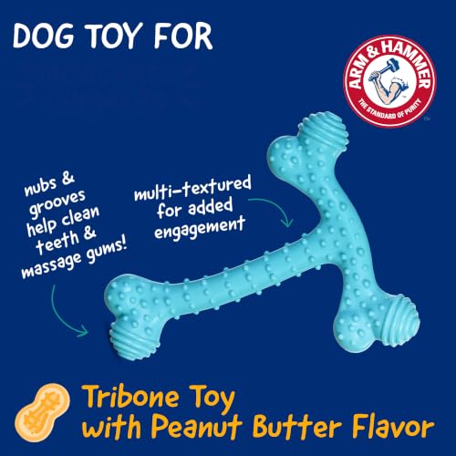 Arm & Hammer Nubbies T-Bone Dental Dog Chew Toy, Peanut Butter, 24-Pk | Durable nylon and TPR nubs clean teeth and gums, built for aggressive chewers - color: Blue T-Bone, size: 24 Count