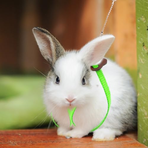2 Pack Adjustable Hamster Leash Harness for Harness for Ferret Baby Rabbit Hamster Rat Mouse Leash Lead with Bell (Green) - color: Green