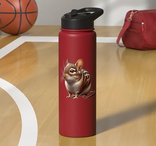 Degu Design Stainless Steel Insulated Water Bottle - color: Red