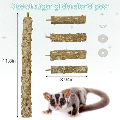 BNOSDM Sugar Glider Toy Natural Prickly Ash Wood Perch Stand Squirrel Hanging Wooden Climbing Pole Hamster Paw Grinding Perch Small Animal Cage Accessories for Chinchillas Rats Gerbil - color: Prickly Ash Wood - Climbing Perch