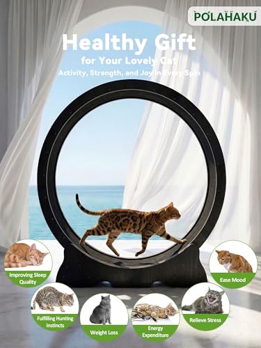 Cat Wheel for Indoor Cats, 48 Inch Diameter Exercise Running Wheel | Enhanced Base, Safety Lock, Quiet, For Cat's Longer Life Fitness, Wide Surface, Low-Entry Design, Easy Assembly, Natural Wood - color: Black
