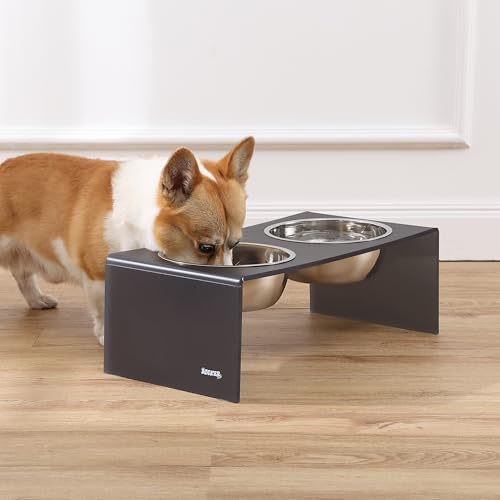 DBL2001J Keaton 7.5" Medium/Large Modern Acrylic Rectangular Elevated Pet Feeder with 54oz 2-Stainless Steel Bowls, Dark Gray/Chrome - color: Dark Gray/Chrome, size: 54 Ounces (7.5" Cups 2-Pack)
